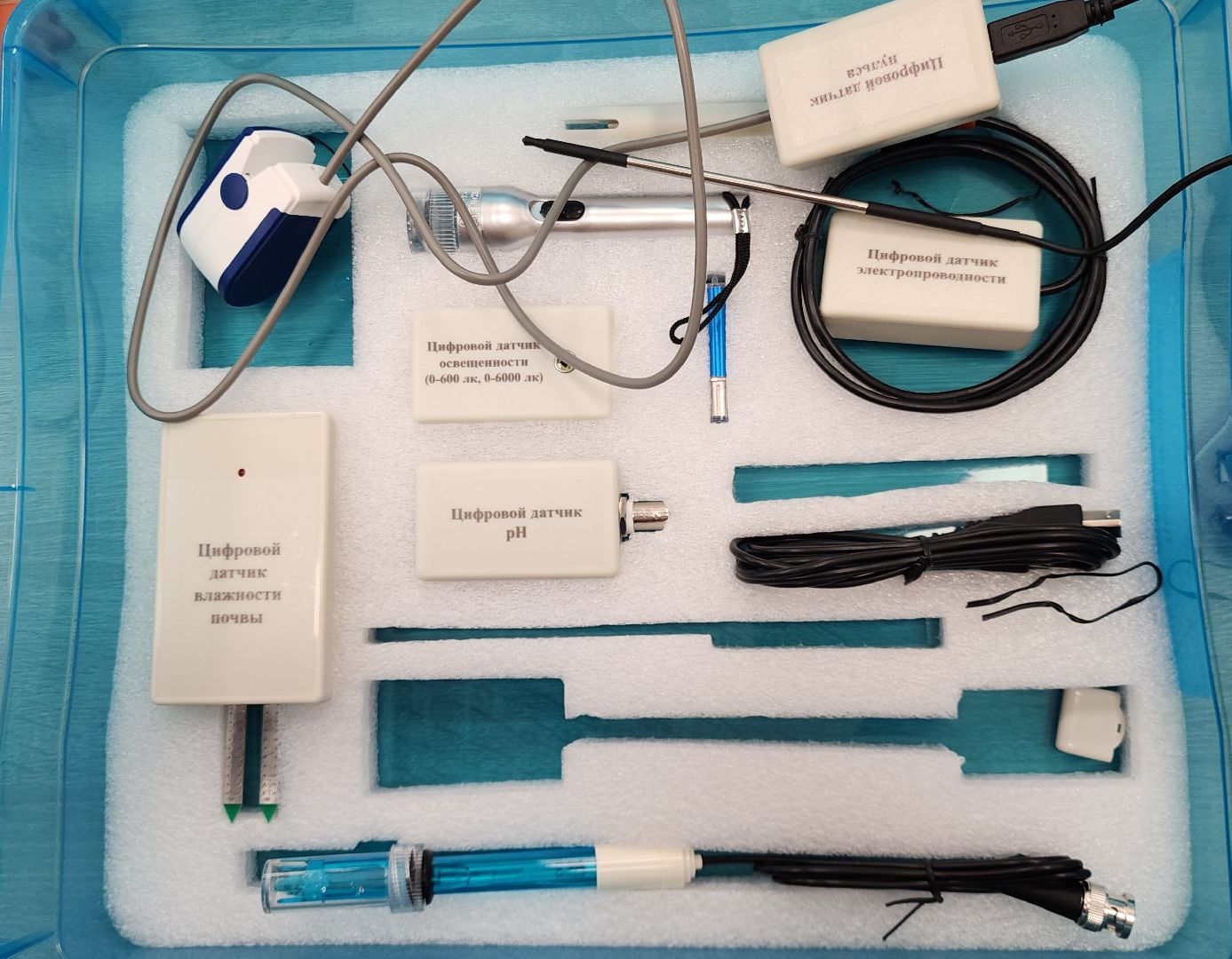 Образование , Новые технологии , Современная школа , Профориентация , Новая школа в микрорайоне Восточном , Образование в Звенигороде ,