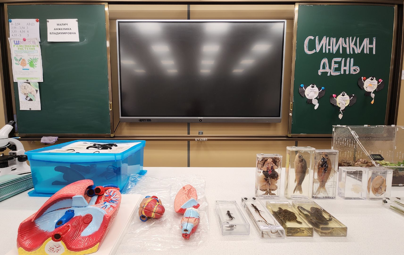 Образование , Новые технологии , Современная школа , Профориентация , Новая школа в микрорайоне Восточном , Образование в Звенигороде ,