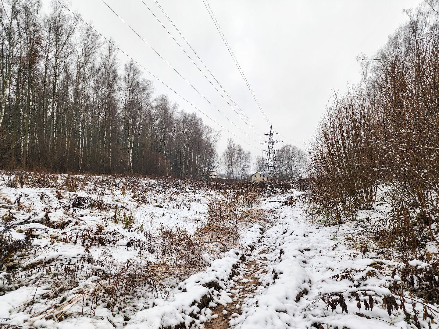 Подольск,Лесное хозяйство, Лесничество,