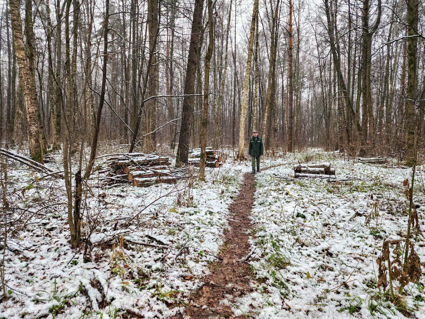 Подольск,Лесное хозяйство, Лесничество,
