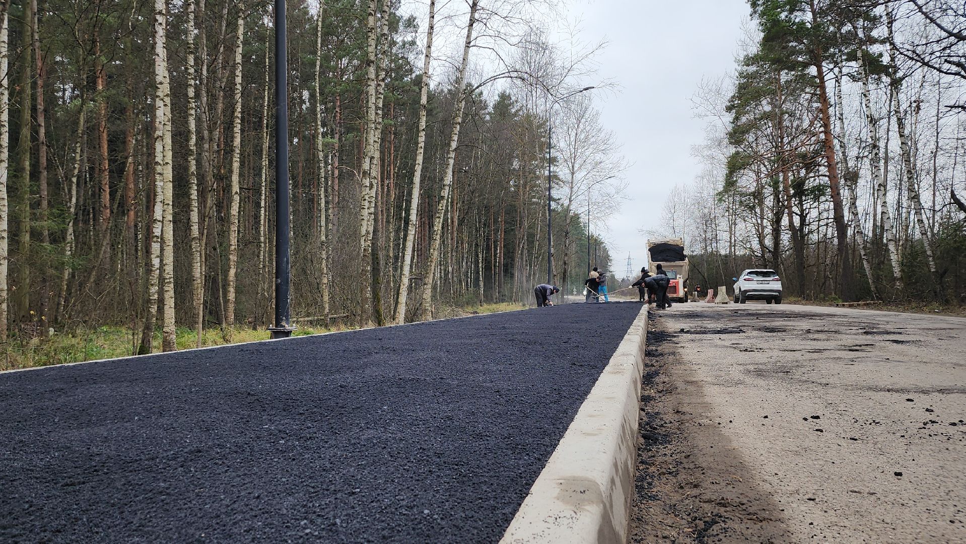 благоустройство, велодорожка, лосино-петровский,