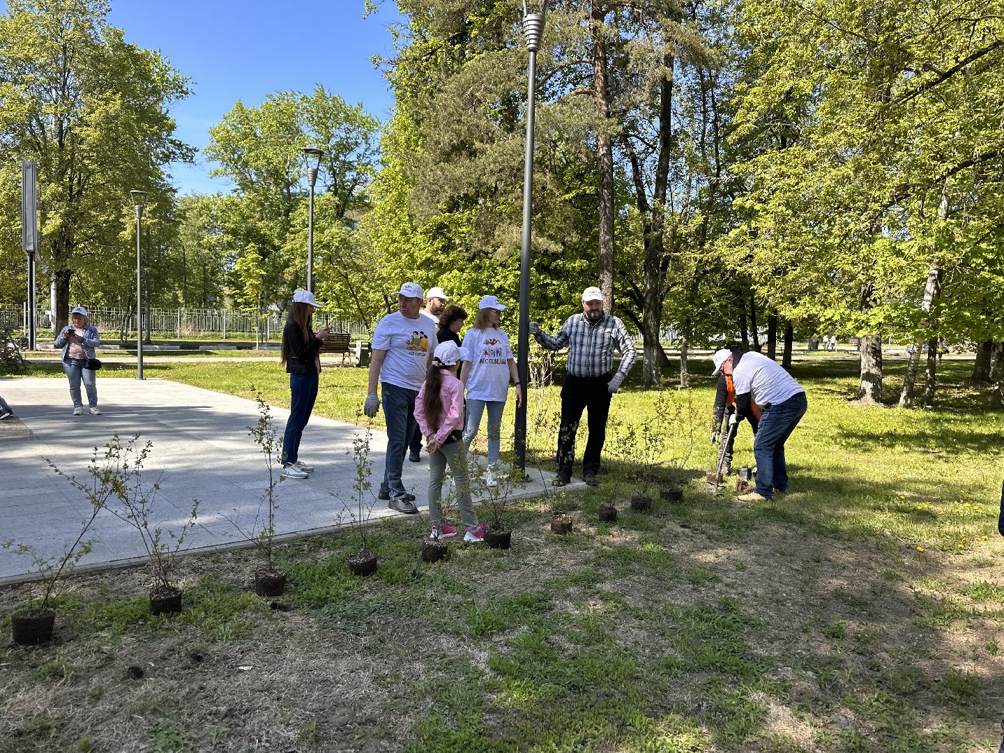 Экология, Лес Победы, Одинцово, Сад Памяти