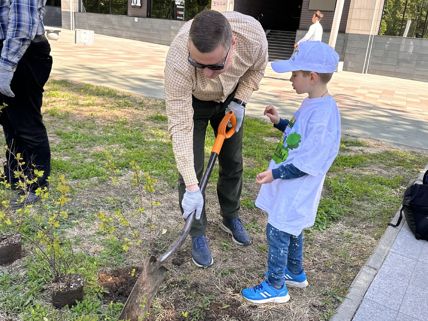 Экология, Лес Победы, Одинцово, Сад Памяти