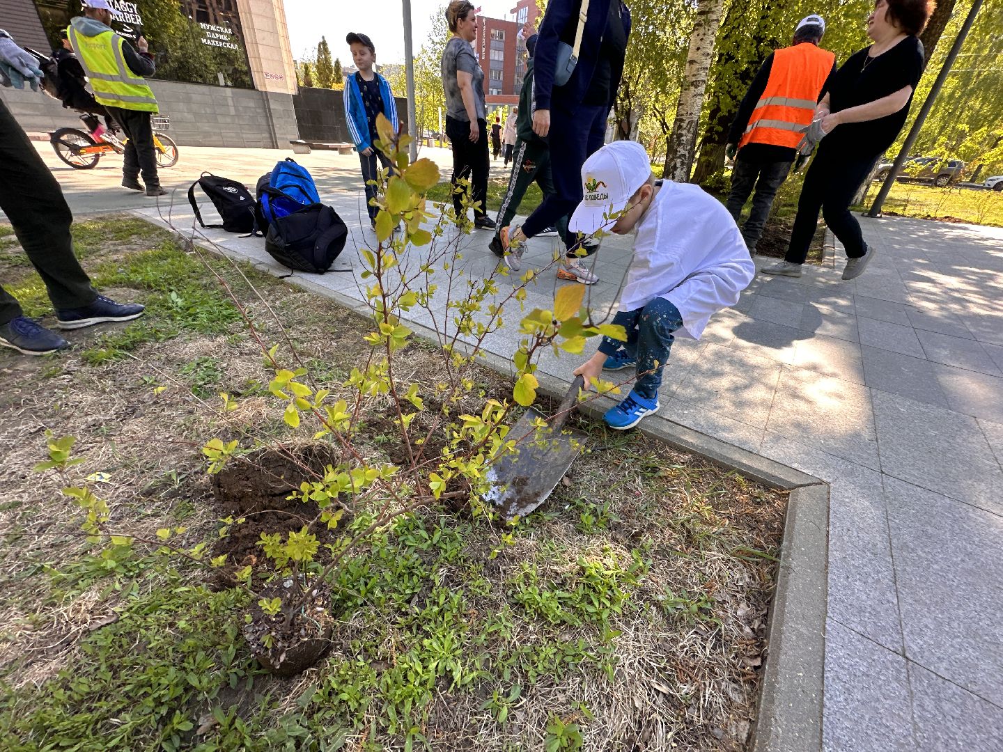 Экология, Лес Победы, Одинцово, Сад Памяти