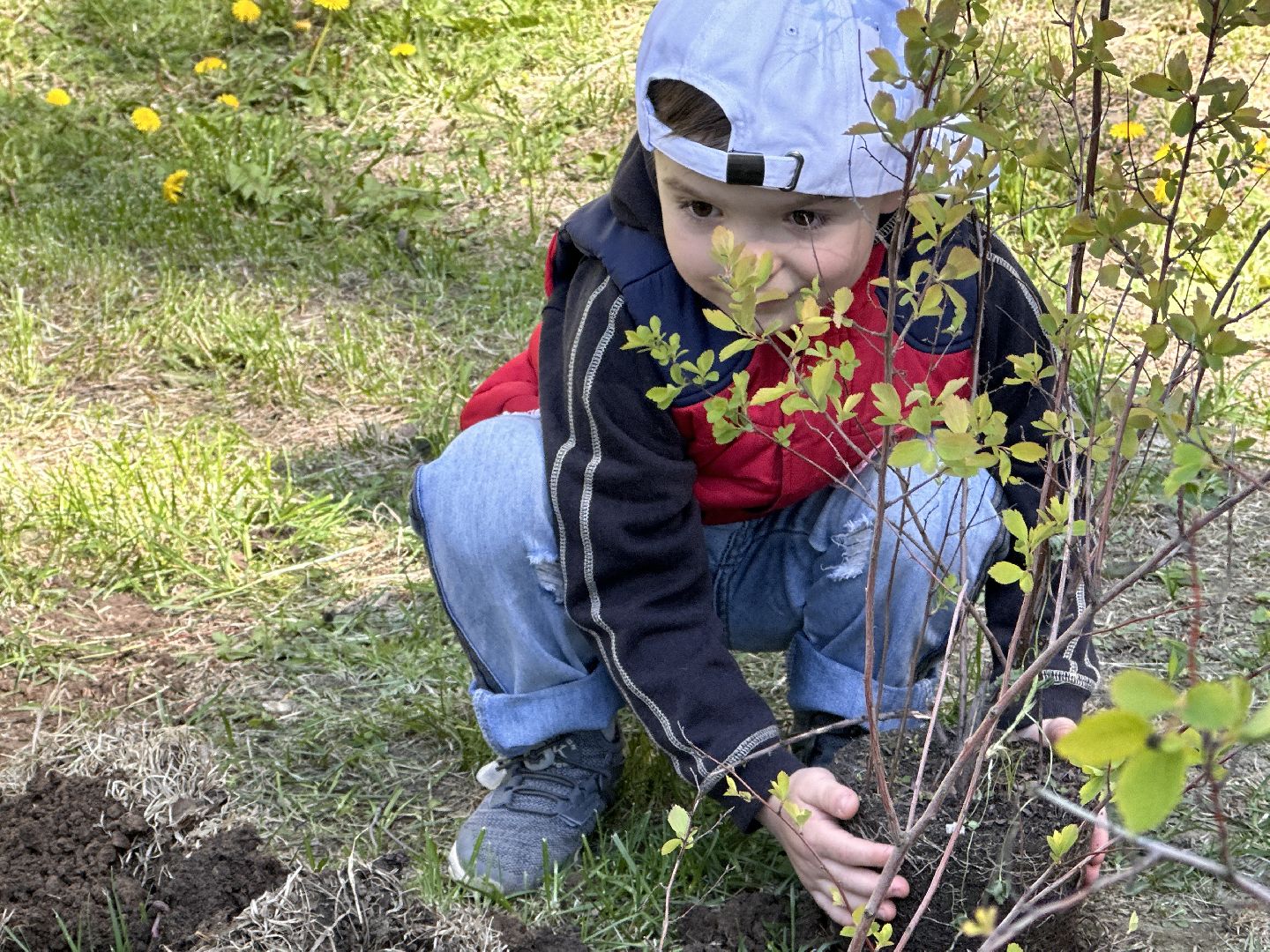 Экология, Лес Победы, Одинцово, Сад Памяти
