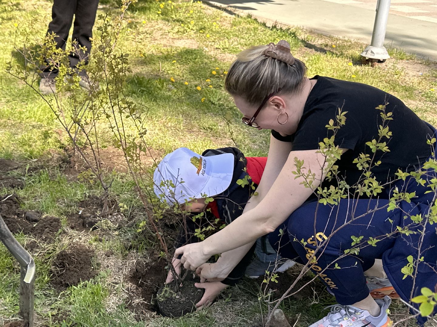 Экология, Лес Победы, Одинцово, Сад Памяти