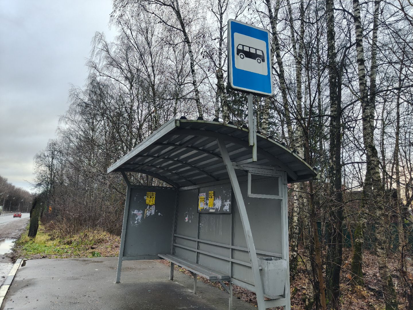 одинцовский городской округ,можайское шоссе, снт,