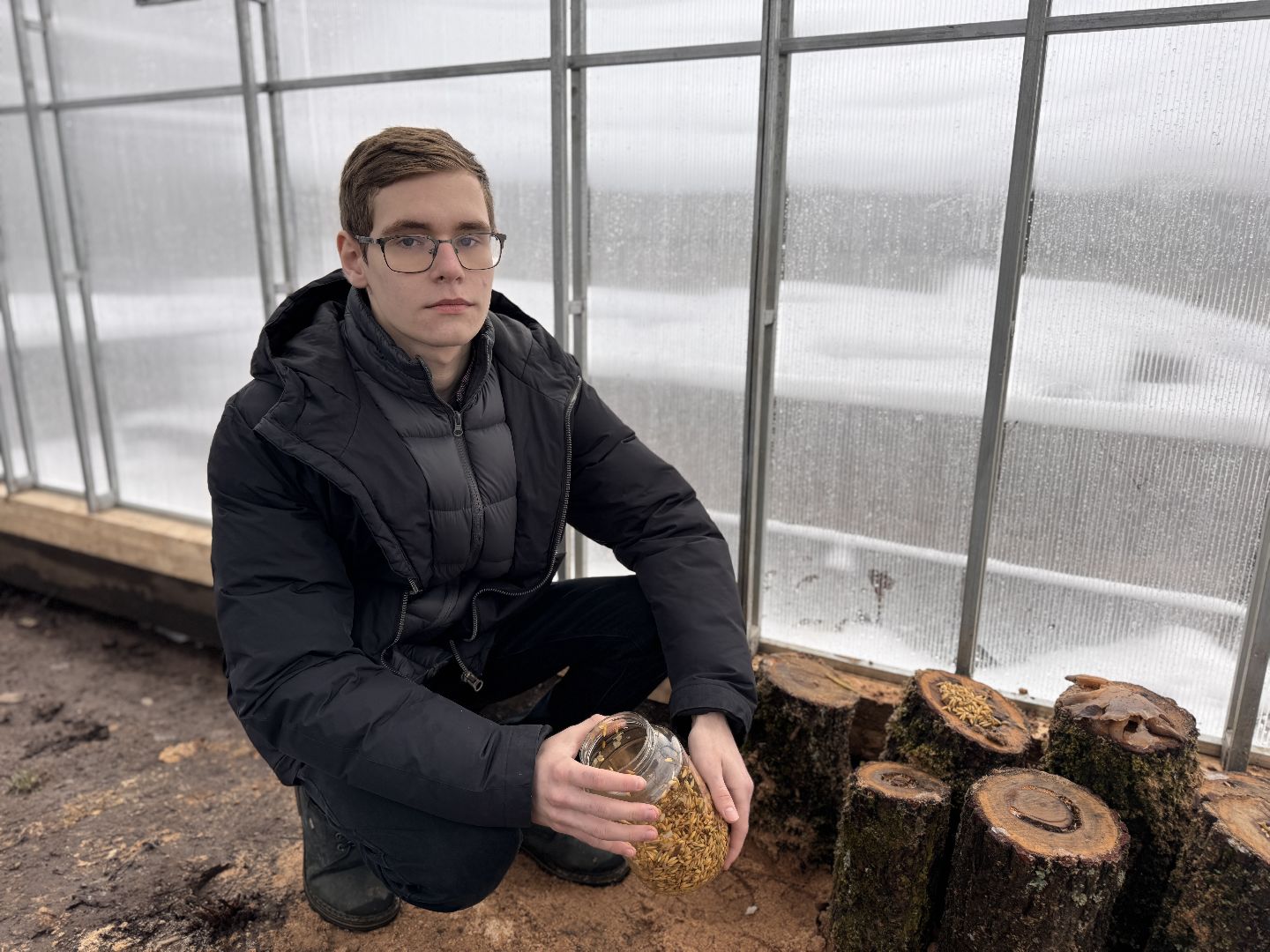 Грибы в Одинцово, Экология, Эксперимент школьника,