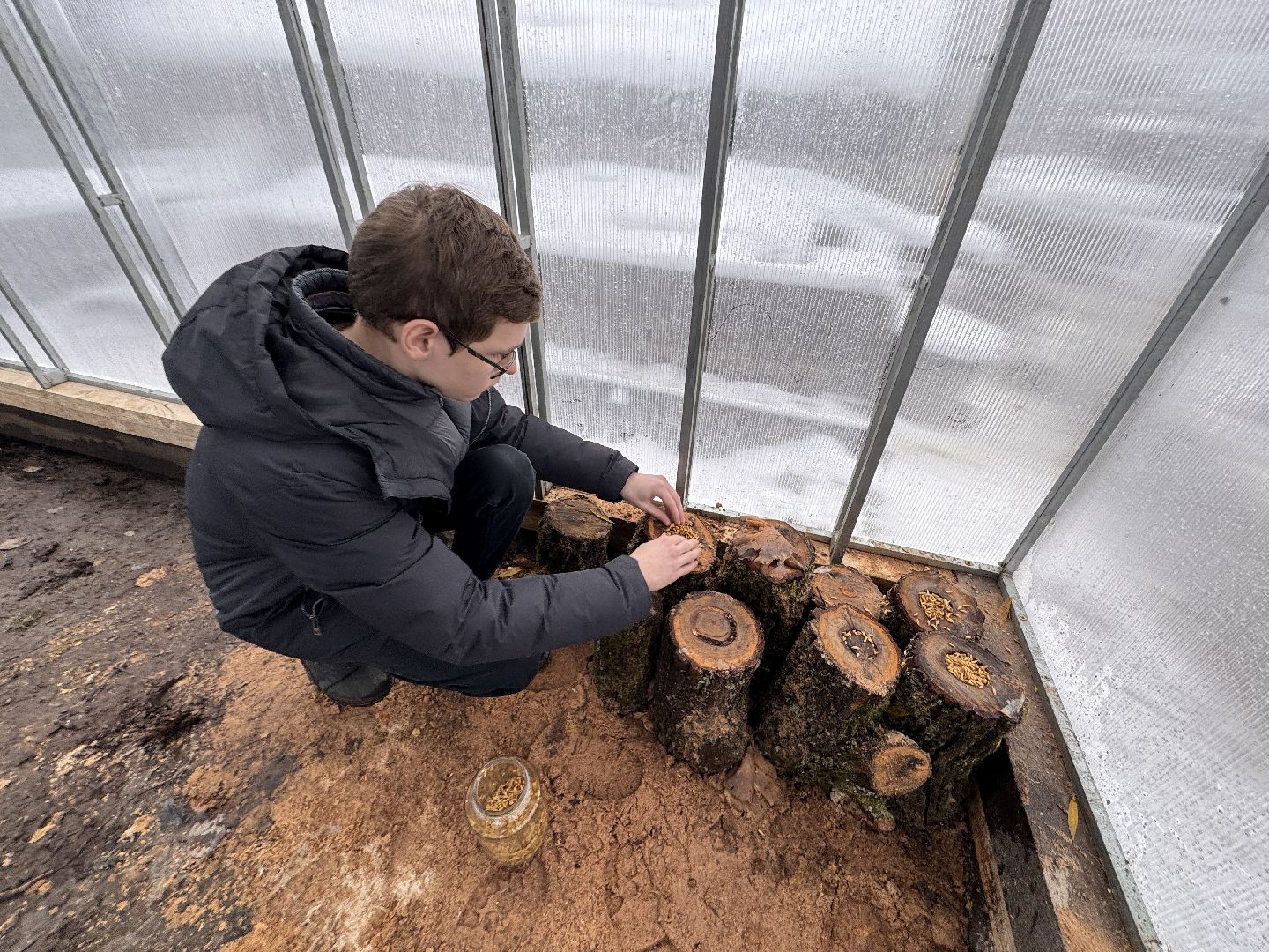 Грибы в Одинцово, Экология, Эксперимент школьника,