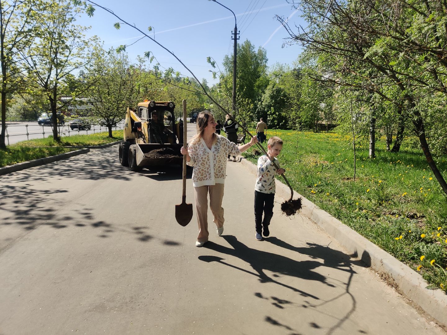 Красноармейск, Пушкинский, Лес Победы, аллея рябин, саженцы