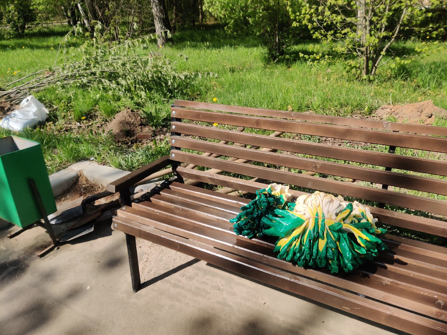 Красноармейск, Пушкинский, Лес Победы, аллея рябин, саженцы