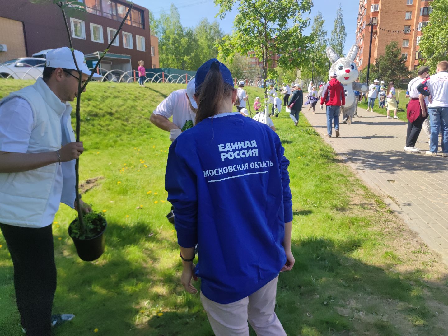 Единая Россия, партия, Лес Победы, Дубна