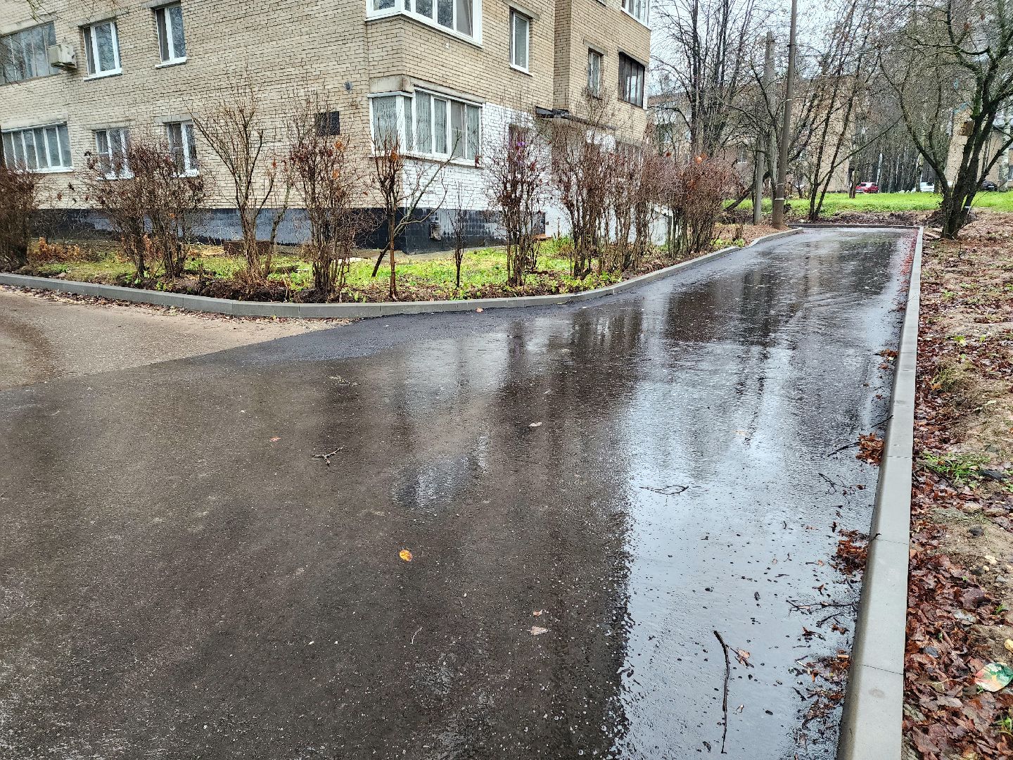 солнечногорск, благоустройство , выстрел , дороги,