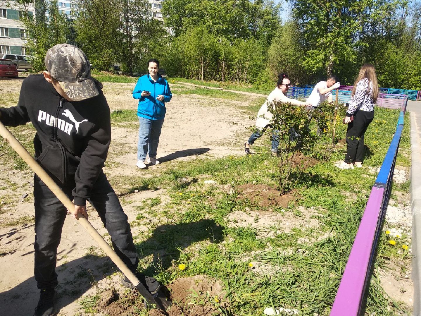 Дмитров, Лес Победы, Минэкологии МО, Мин ЖКХ МО