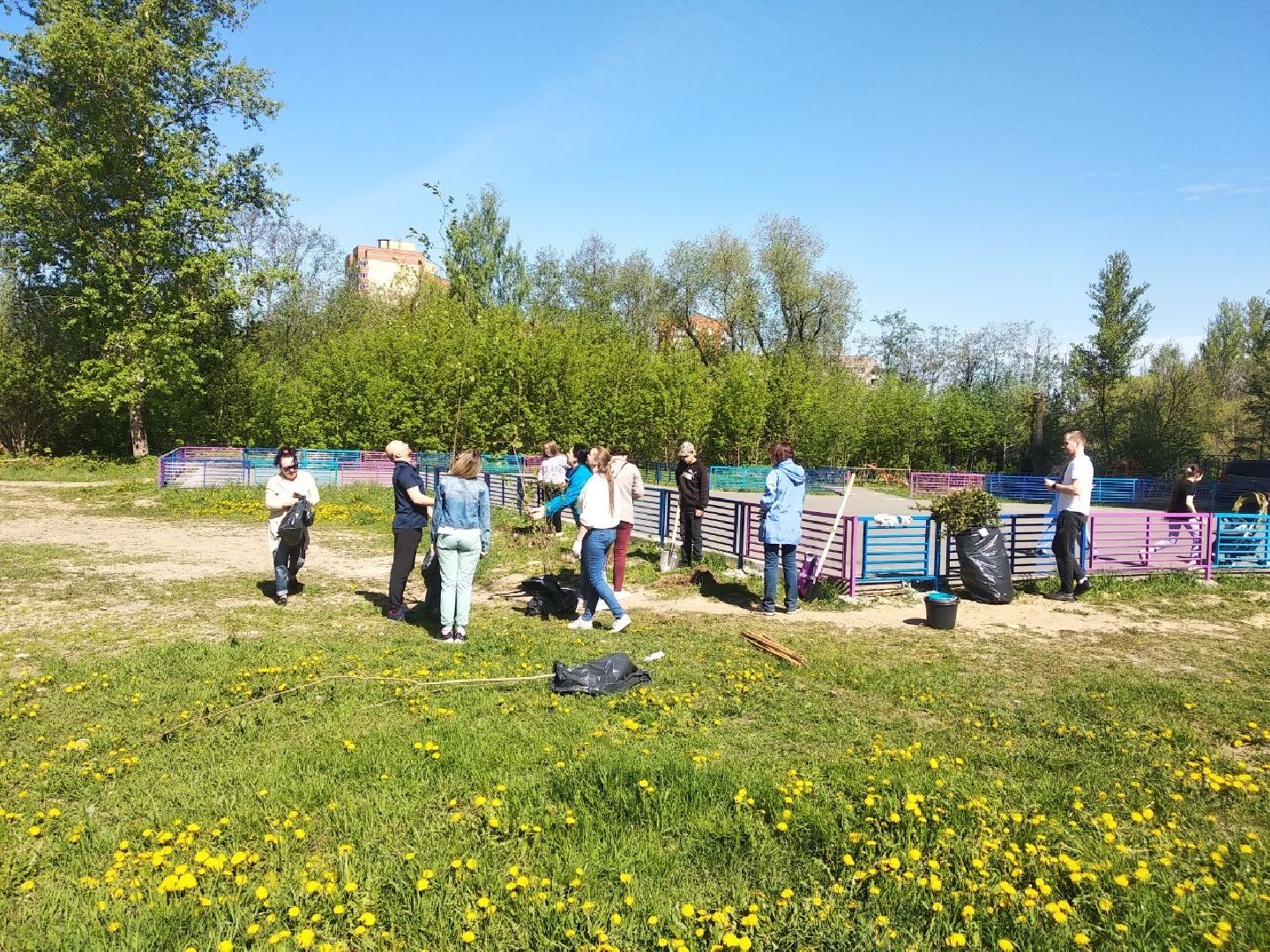 Дмитров, Лес Победы, Минэкологии МО, Мин ЖКХ МО