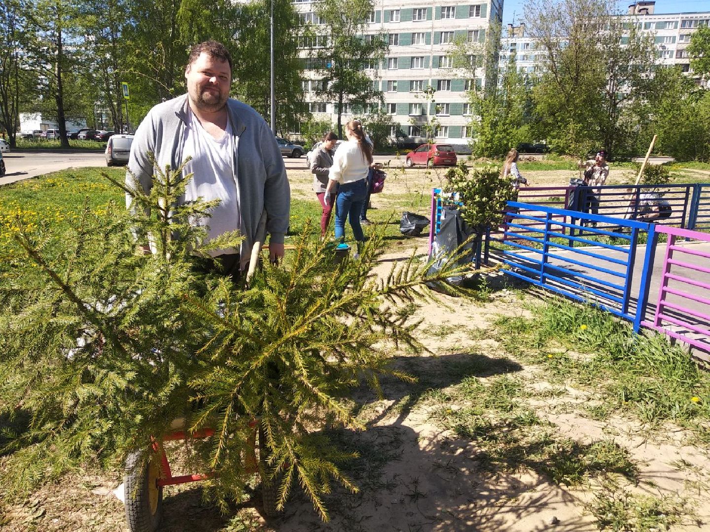 Дмитров, Лес Победы, Минэкологии МО, Мин ЖКХ МО