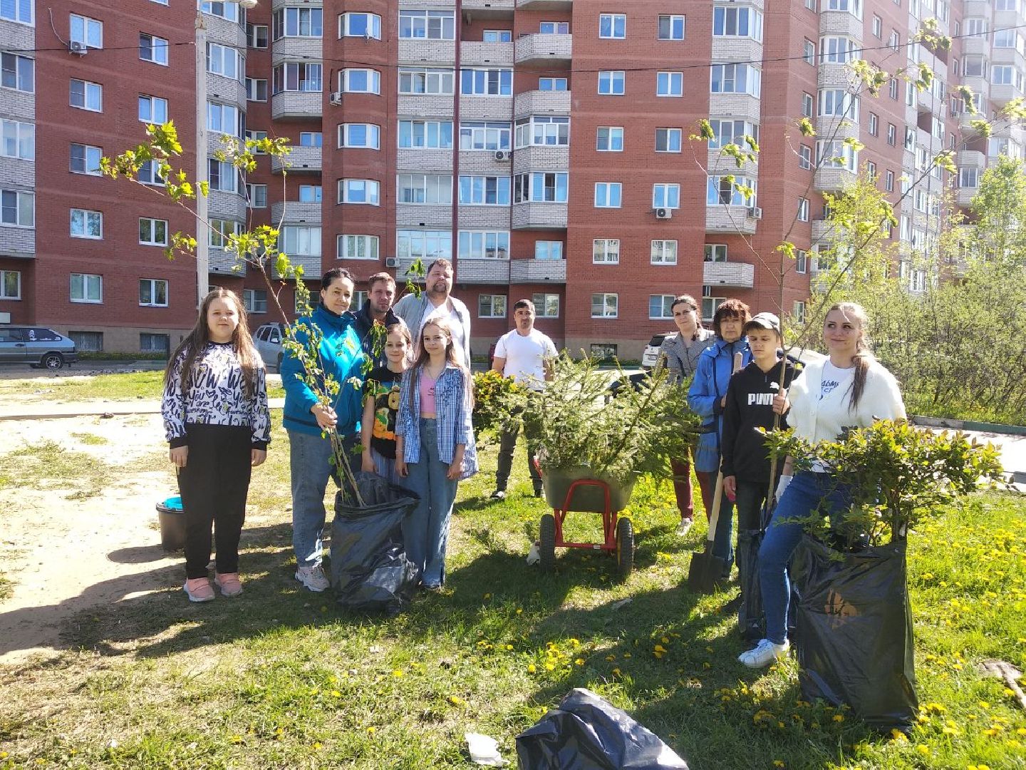 Дмитров, Лес Победы, Минэкологии МО, Мин ЖКХ МО