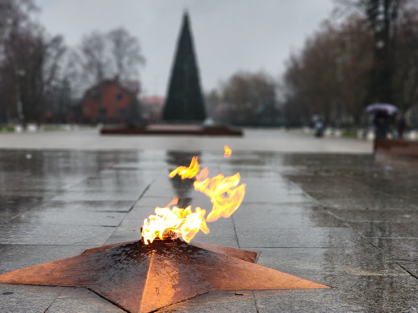 новогодняя елка, новогодние украшения, украшение города к новому году, старая купавна, богородский городский округ,