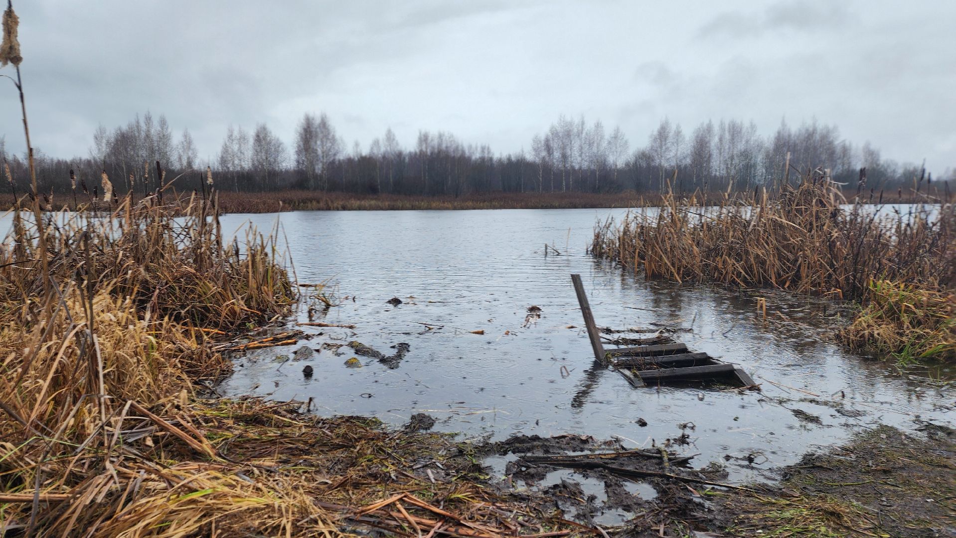 клин, папивино, добродел, очистка водоемов,