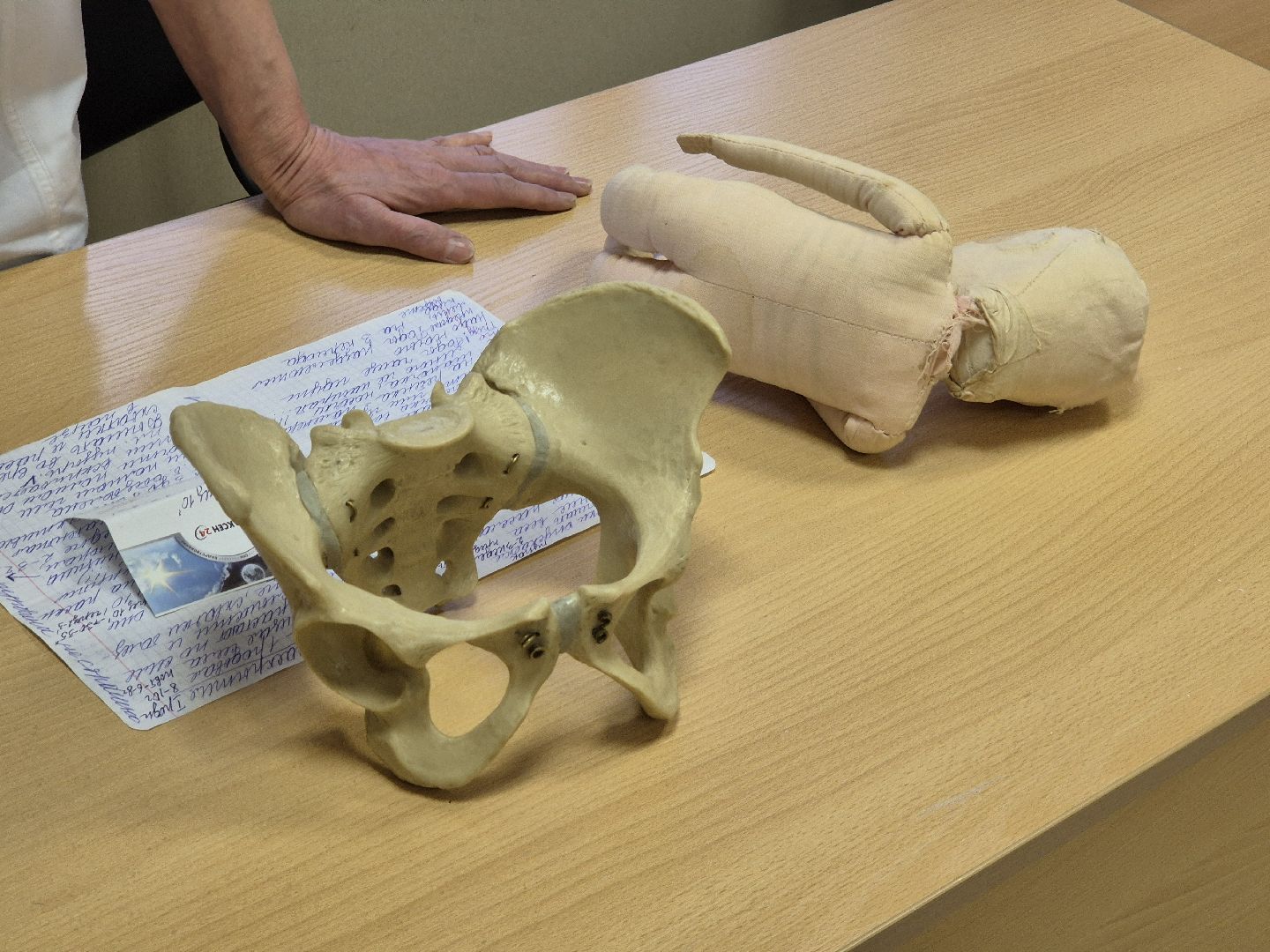 школа материнства, орехово-зуево, женская консультация,