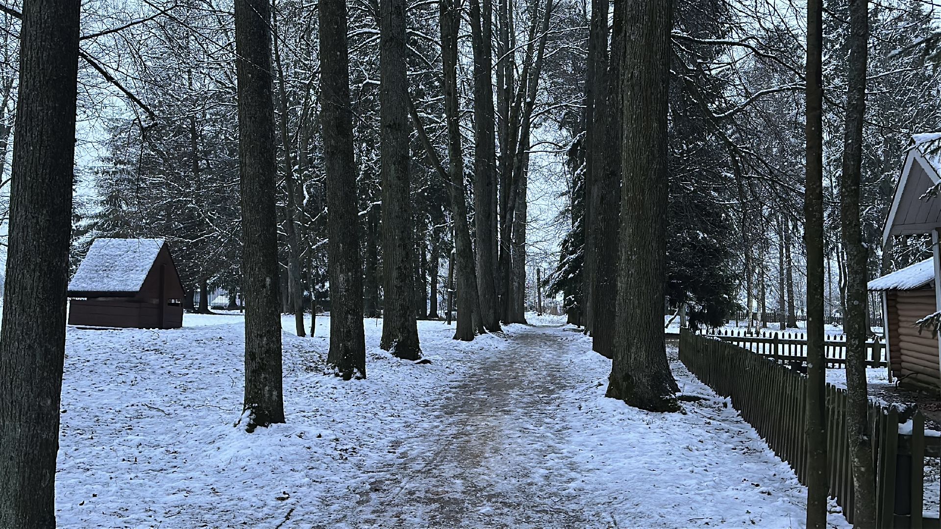 съемки сериала, усадьба мураново, пушкинский городской округ,