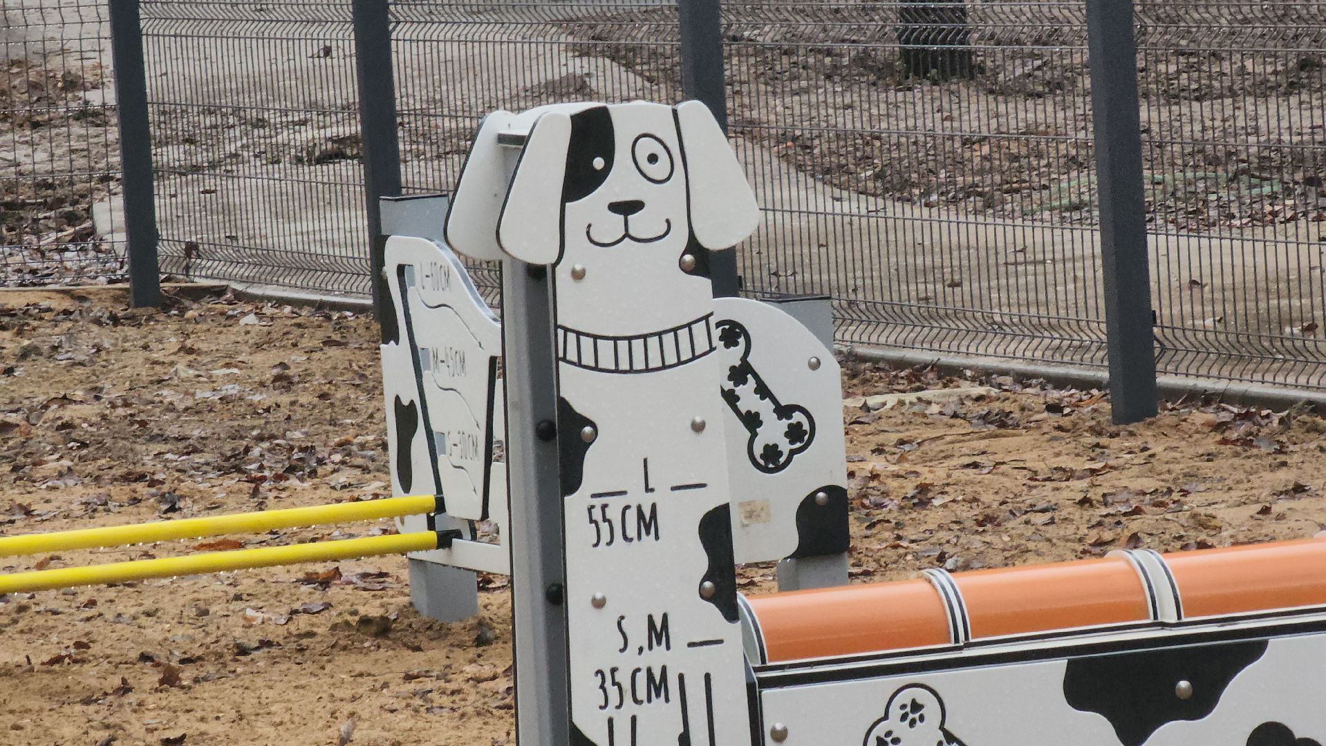 королёв, благоустройство, Папанинская дача, юбилейный,