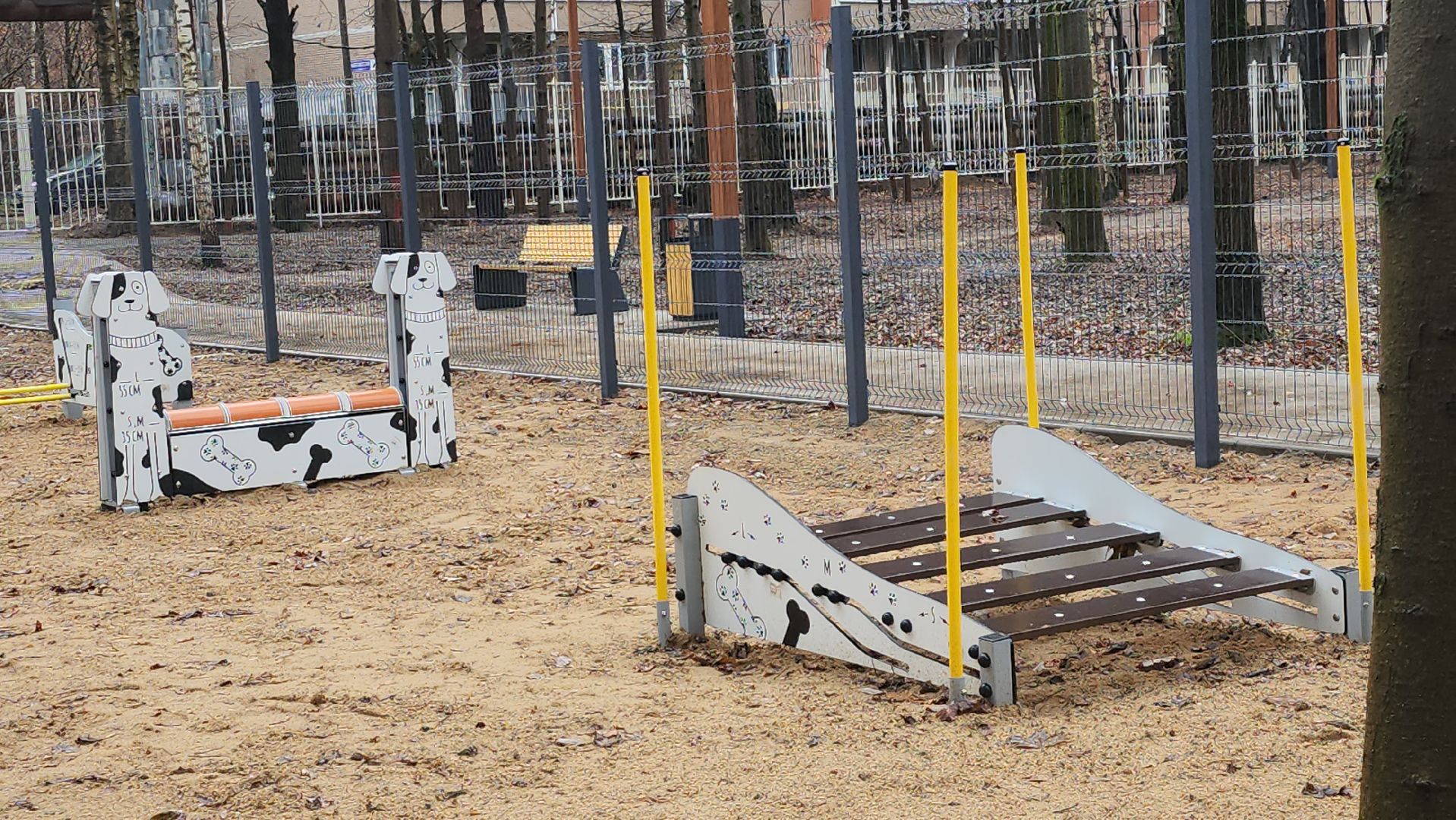 королёв, благоустройство, Папанинская дача, юбилейный,