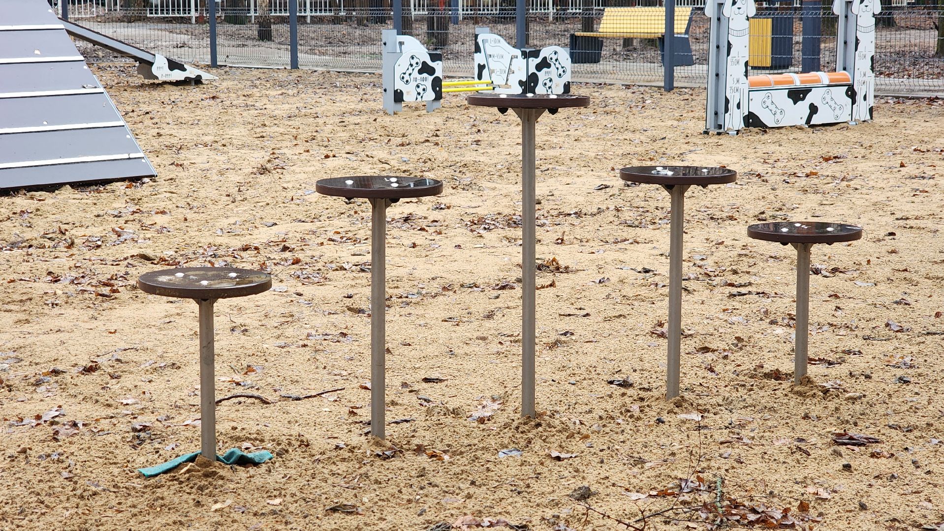 королёв, благоустройство, Папанинская дача, юбилейный,