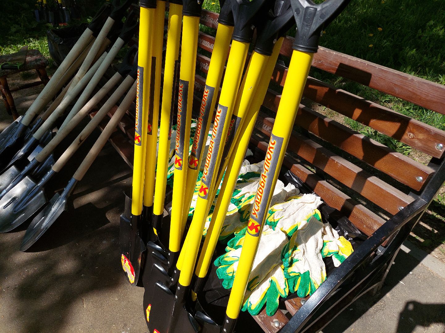 лес победы, жители, общество, акция, память