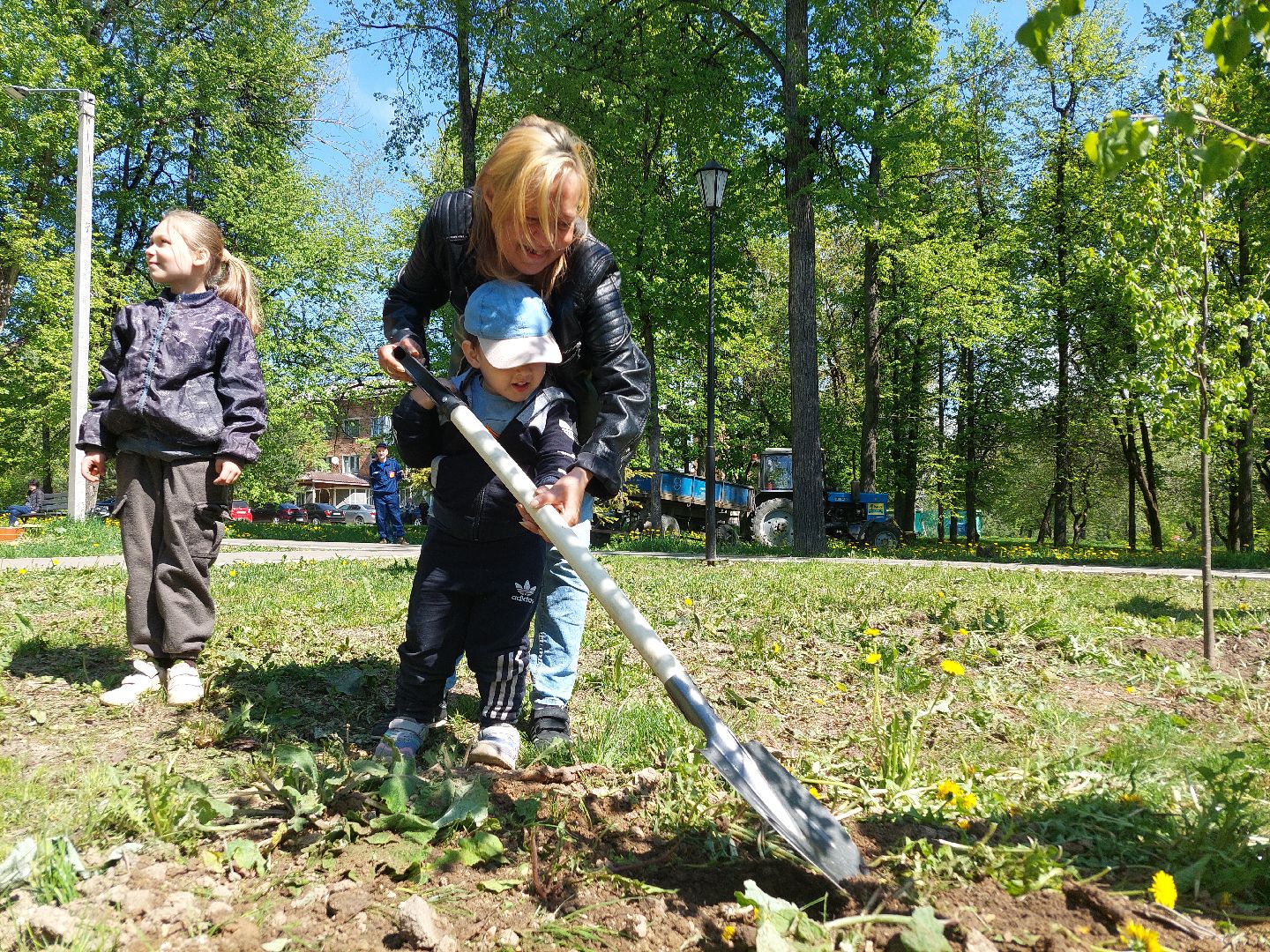 лес победы, жители, общество, акция, память