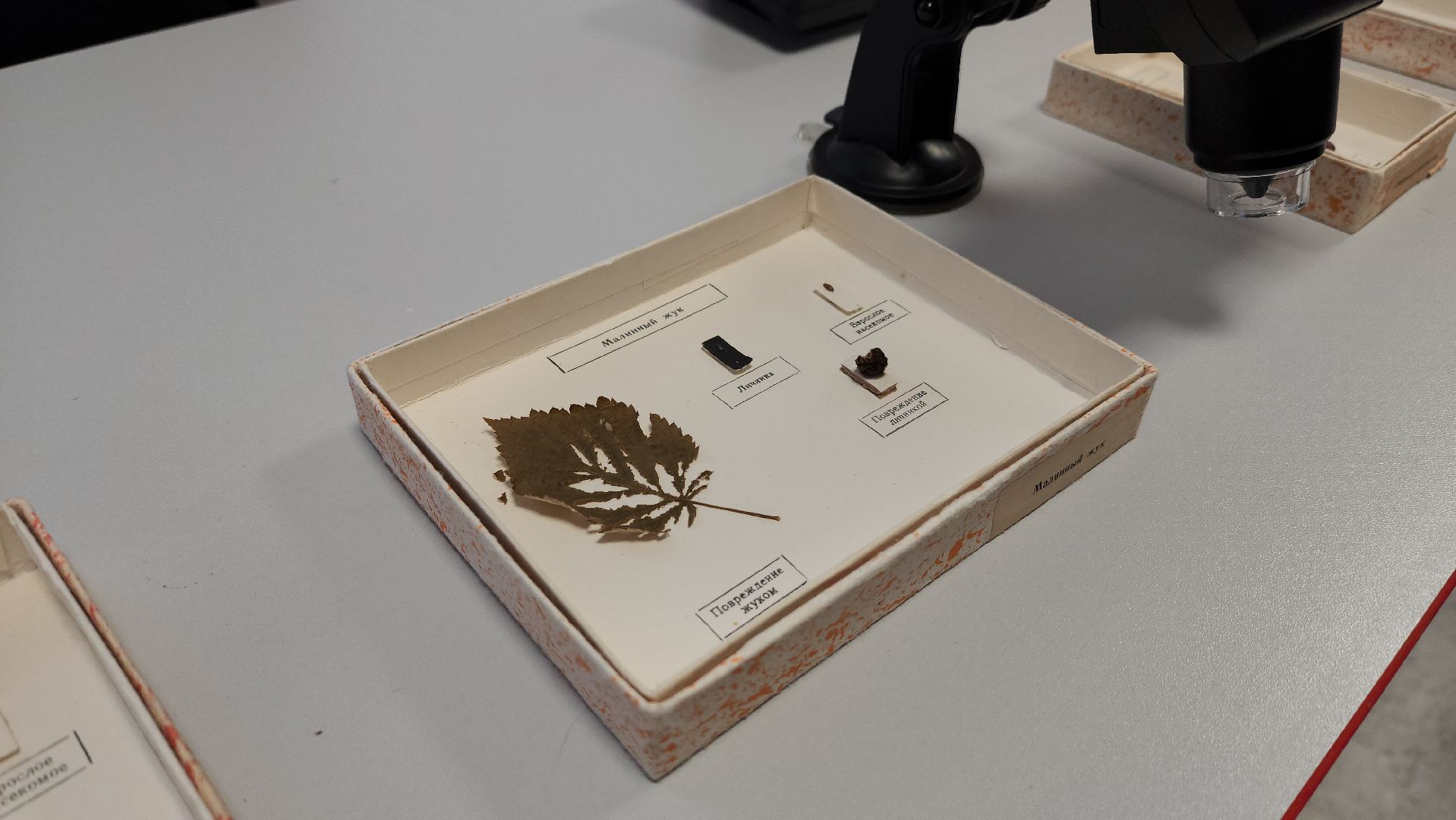 луховицы, образование, профориентация,