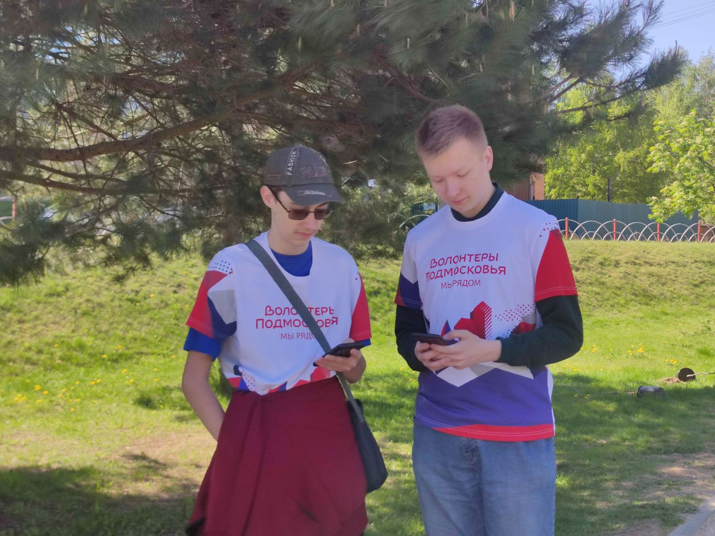 Волонтеры Подмосковья, Лес Победы, Дубна