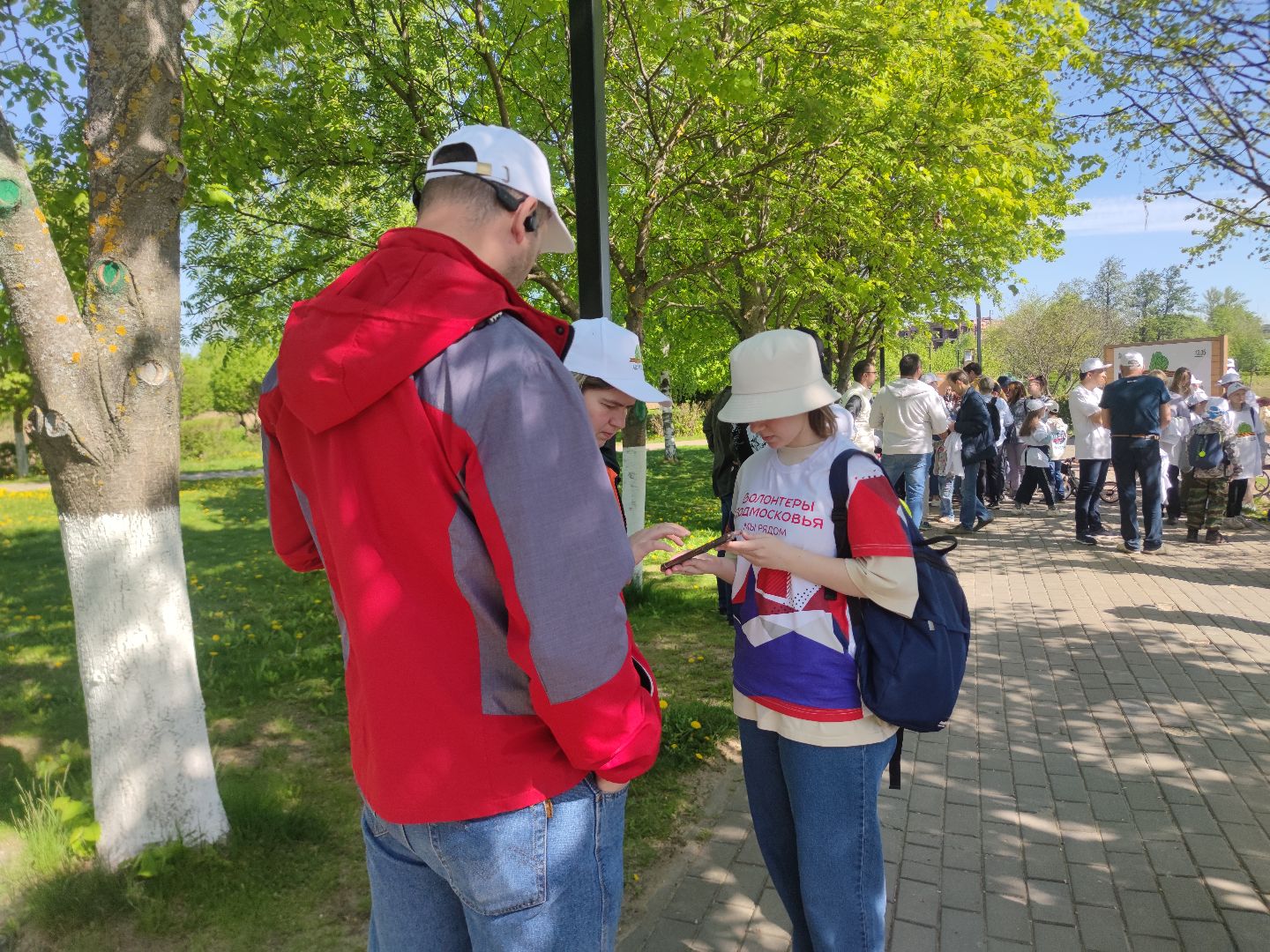Волонтеры Подмосковья, Лес Победы, Дубна