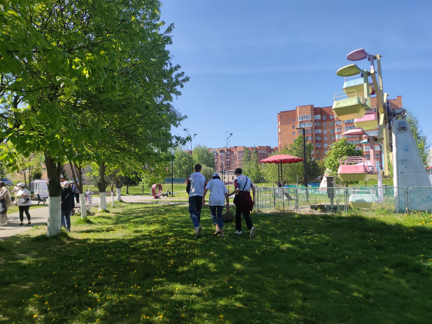 Волонтеры Подмосковья, Лес Победы, Дубна