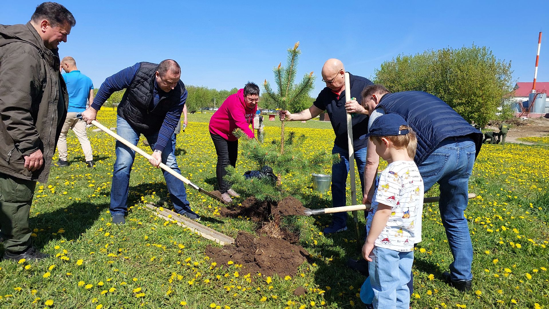 день победы, лес победы, серпухов, принарский парк, сергей никитенко, вов,