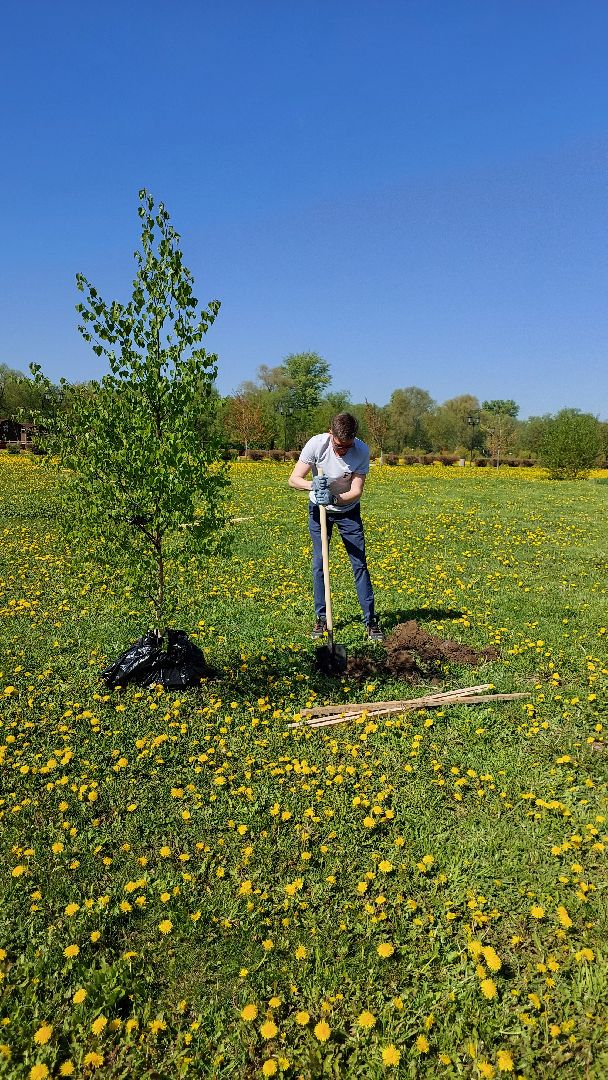 день победы, лес победы, серпухов, принарский парк, сергей никитенко, вов,