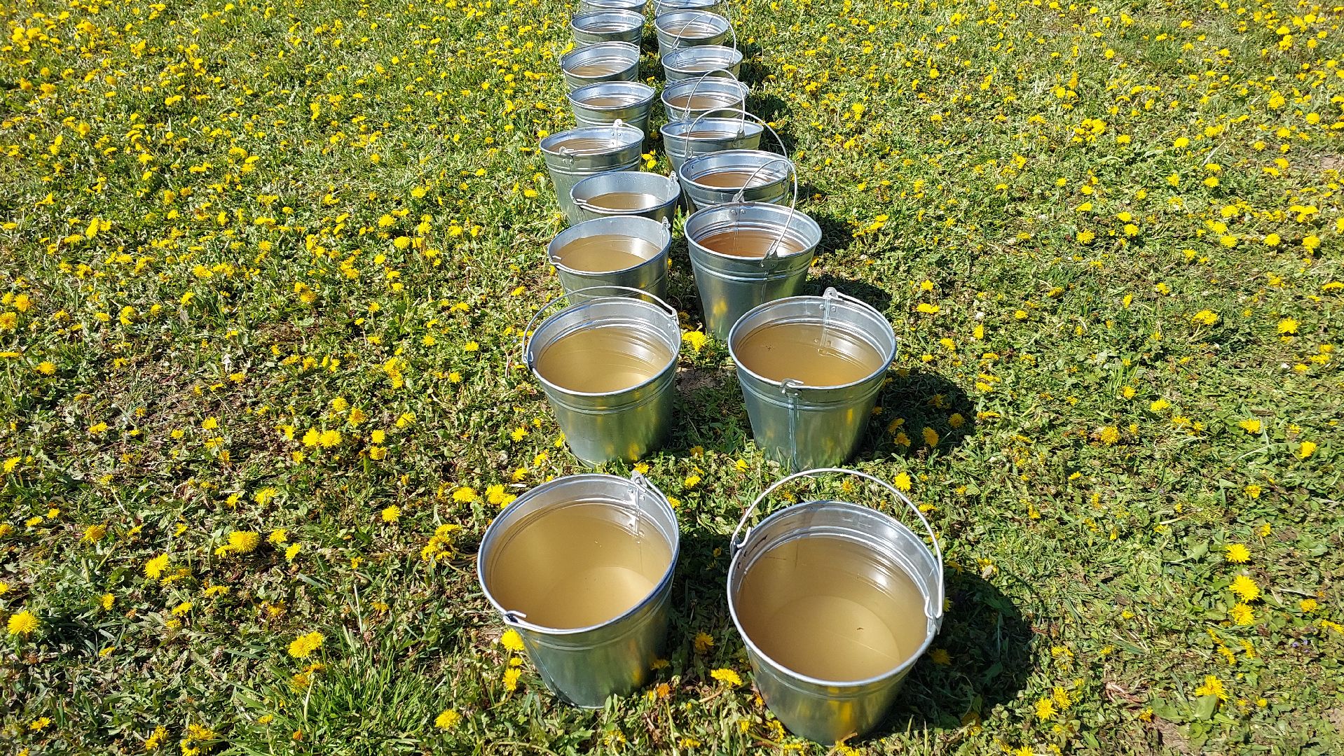 день победы, лес победы, серпухов, принарский парк, сергей никитенко, вов,