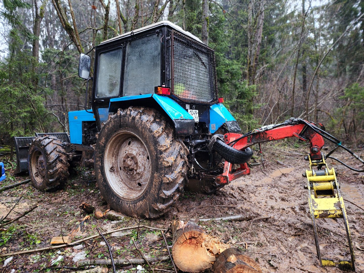 сергиев посад, сергиево-посадский городской округ, деулино, деулинская слобода, лес, естественное лесовосстановление, санитарная рубка леса, мособллес,
