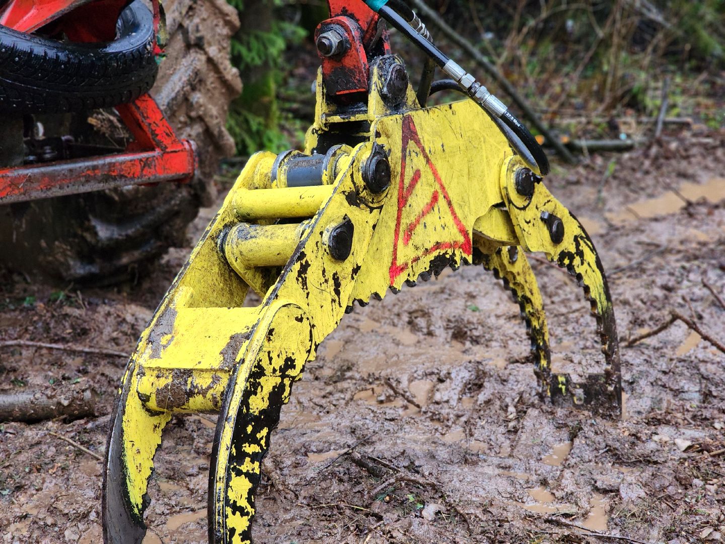 сергиев посад, сергиево-посадский городской округ, деулино, деулинская слобода, лес, естественное лесовосстановление, санитарная рубка леса, мособллес,