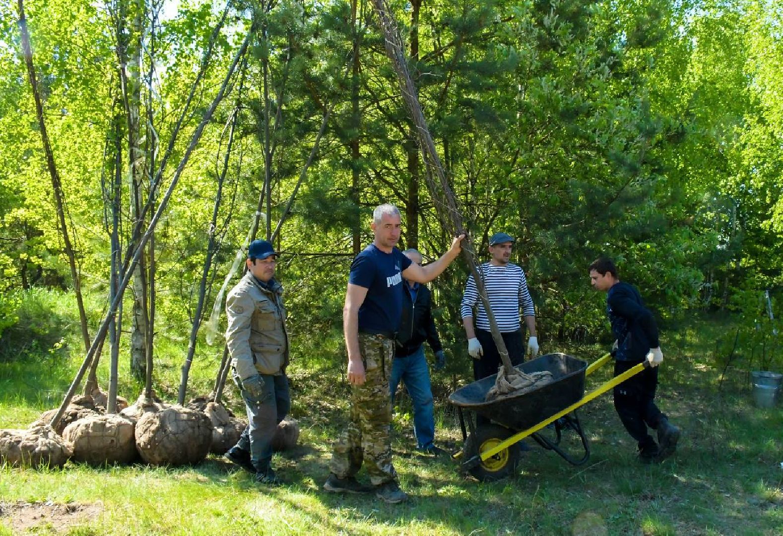 Лес, Победы, деревья, высадили, храм, Рождества, Иоанна, Предтечи