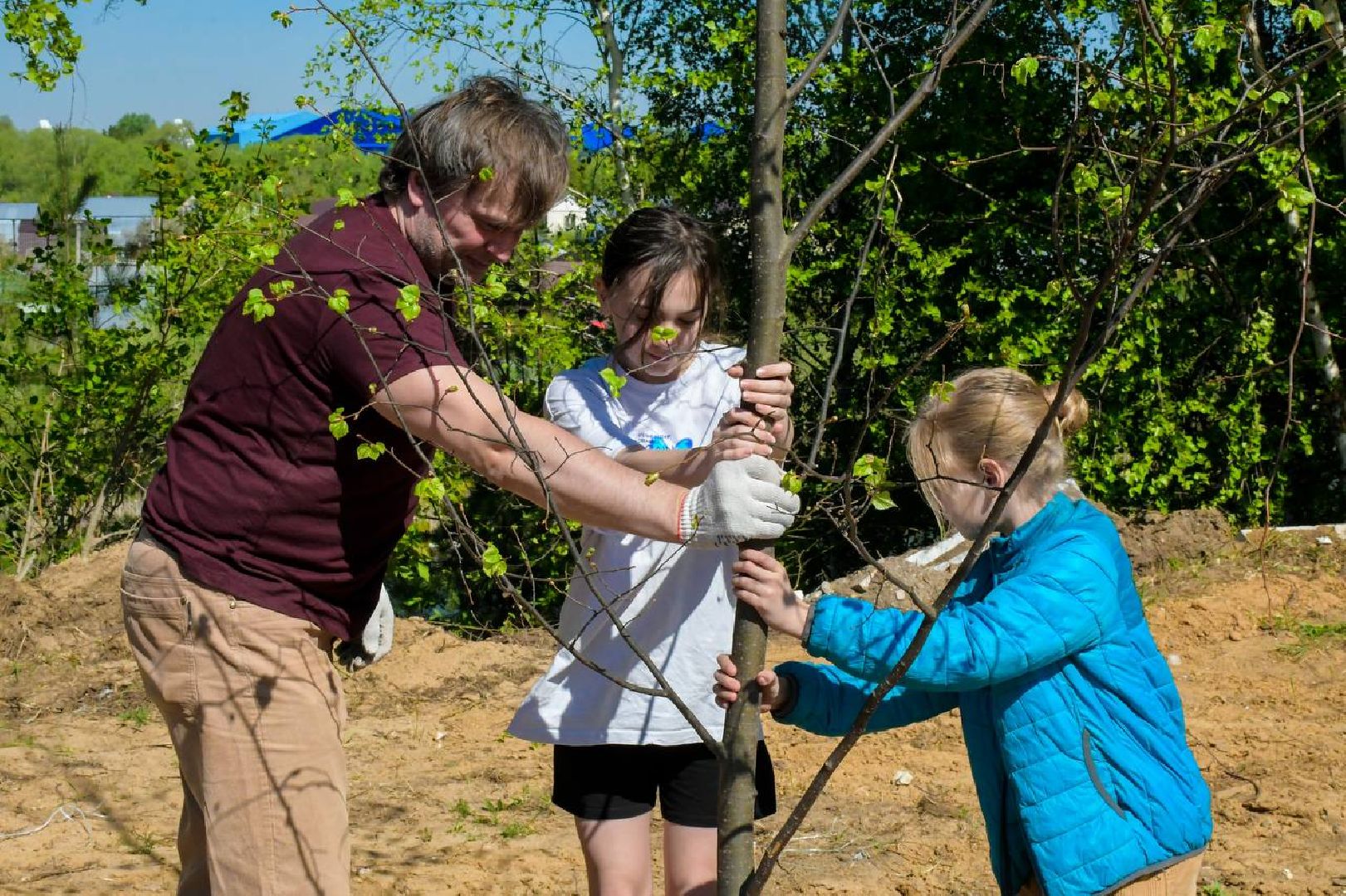 Лес, Победы, деревья, высадили, храм, Рождества, Иоанна, Предтечи