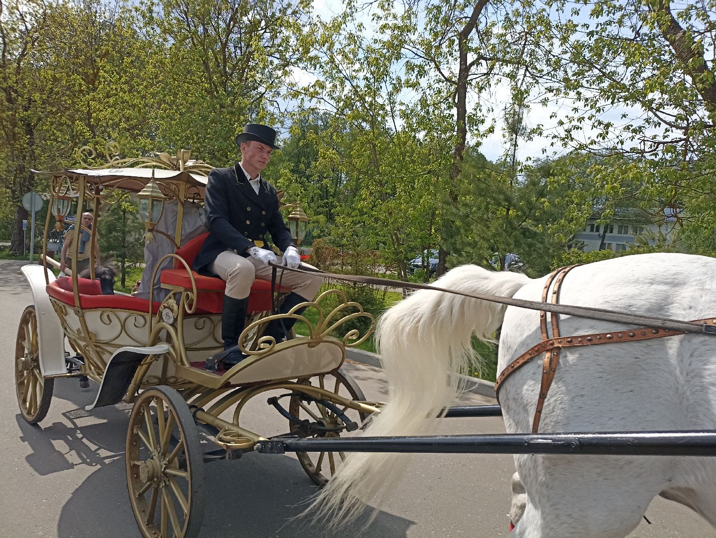 Серпухов, Подмосковье, свадьба, событие, любовь