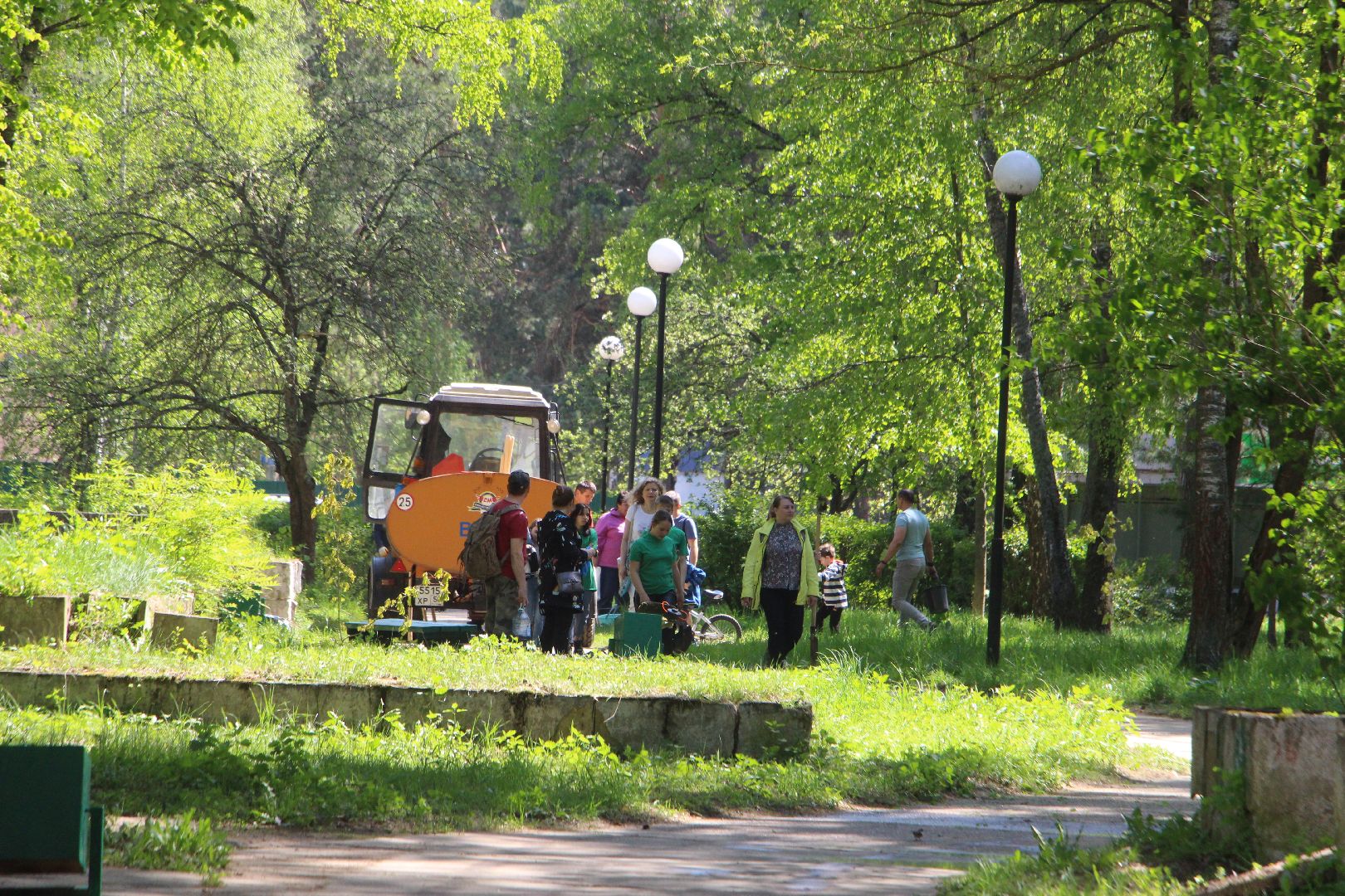 Лес Победы, клены, Протвино, акция, озеленение, экология