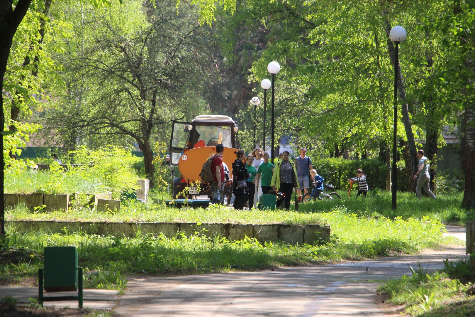 Лес Победы, клены, Протвино, акция, озеленение, экология