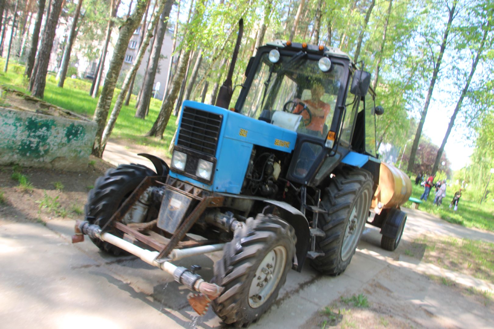 Лес Победы, клены, Протвино, акция, озеленение, экология