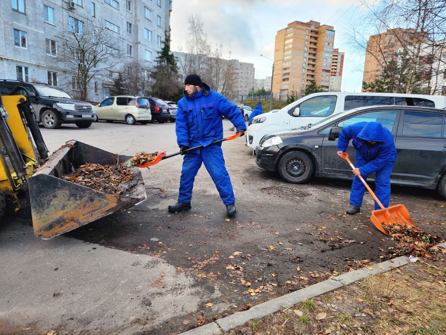 фрязино, уборка улиц, смет мусора, мбу городское хозяйство, устранение последний непогоды,