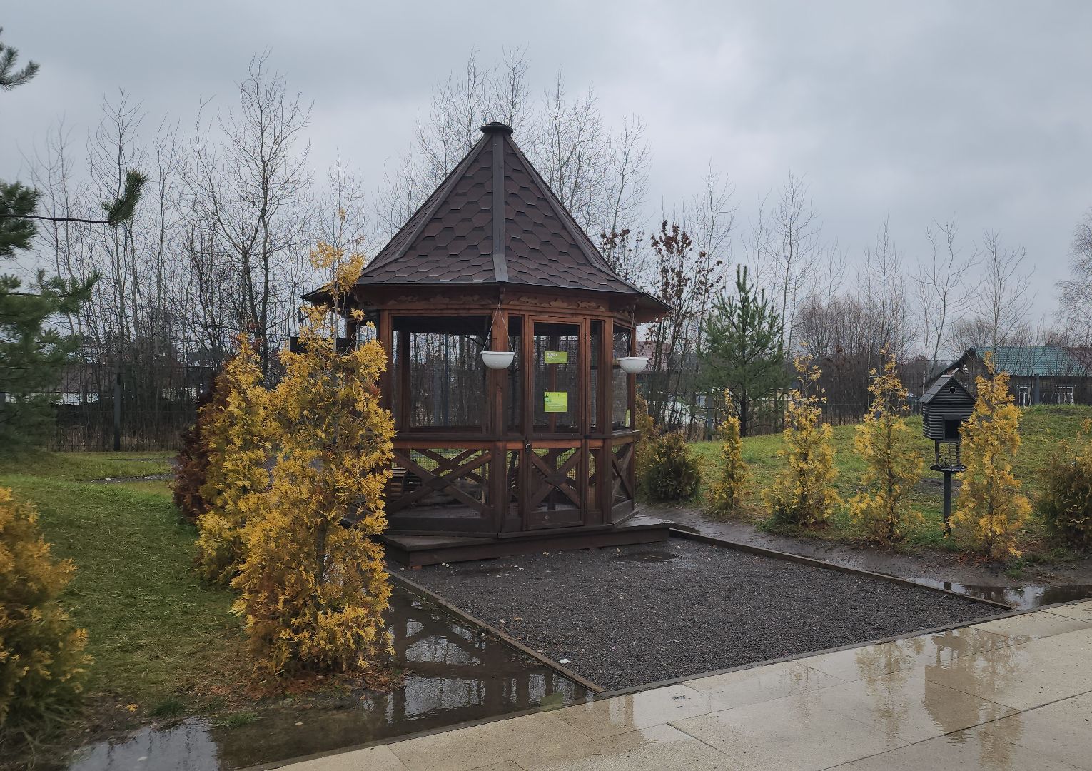 белки в парке, ликино-дулево, орехово-зуевский округ,