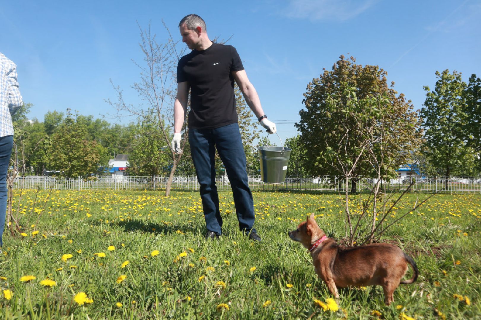 Пущино, Лес Победы, экология
