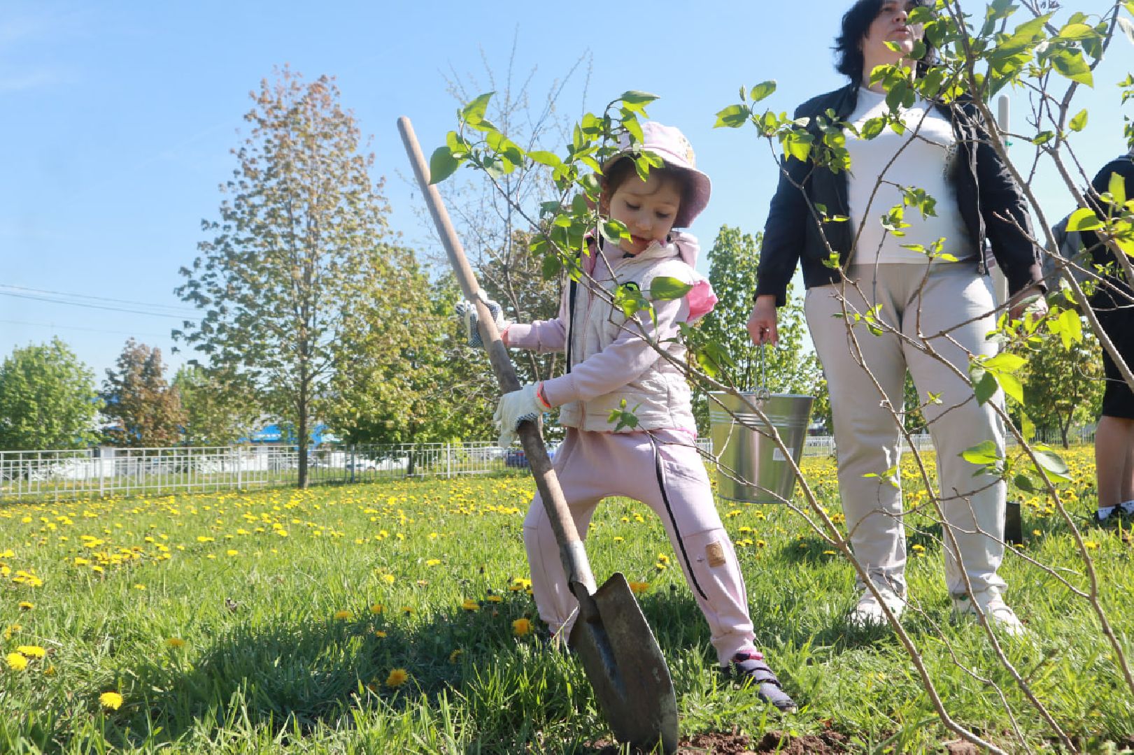 Пущино, Лес Победы, экология