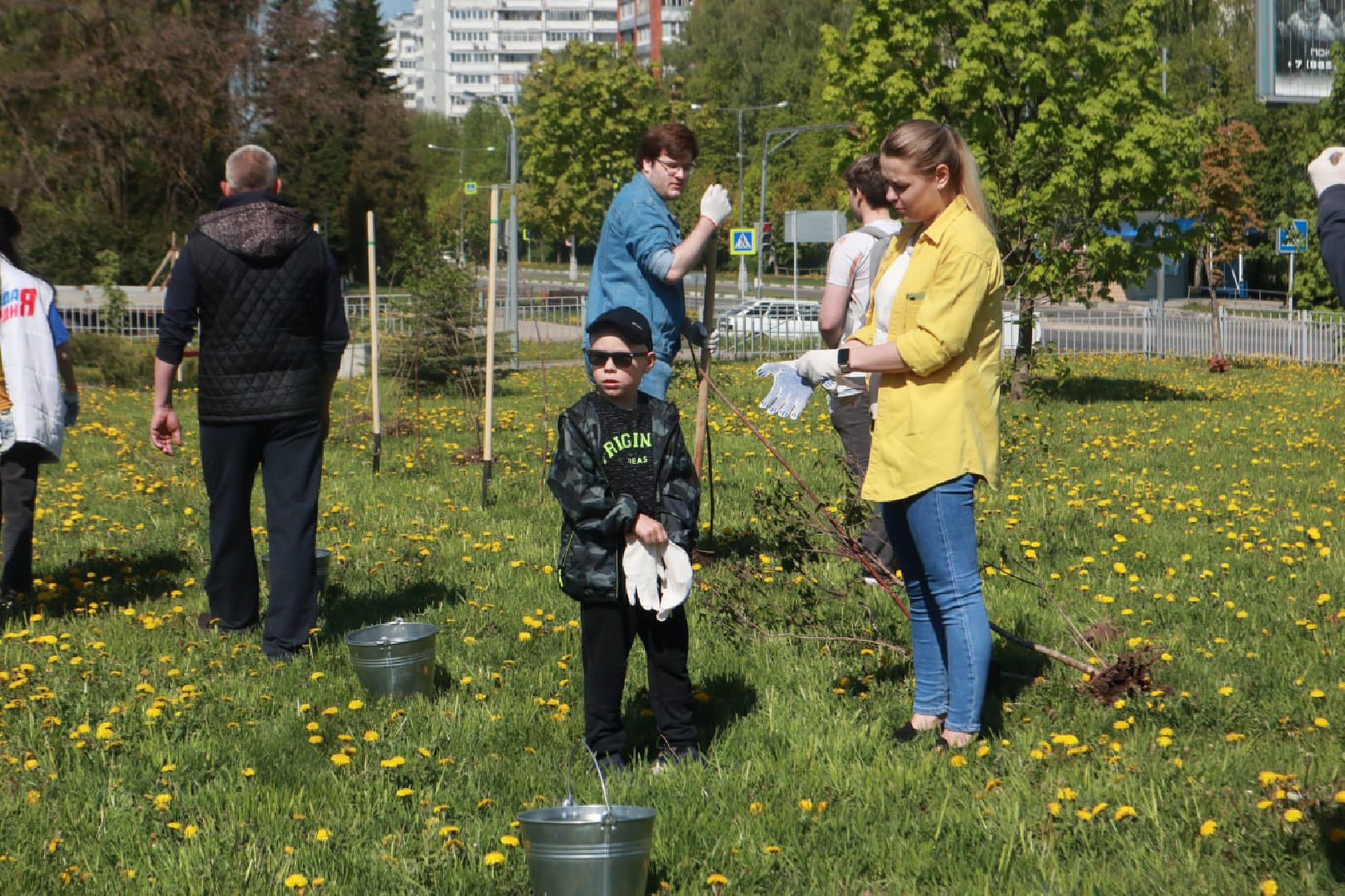 Пущино, Лес Победы, экология
